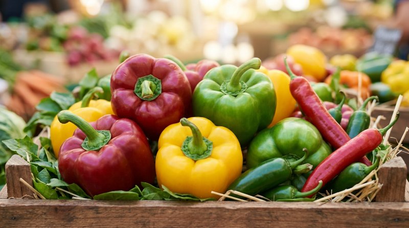 Capsicum