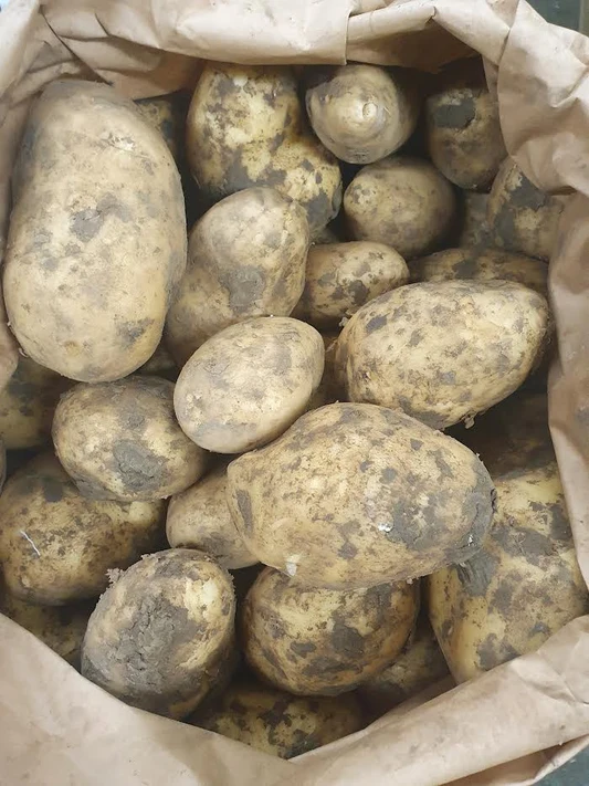 10 kg potatos