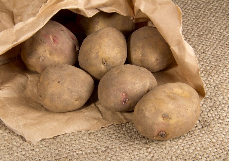 5 kg potatos